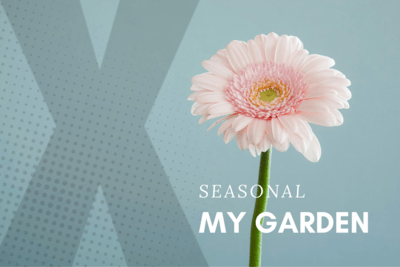 My Garden